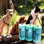 2L Compostable Council Dog Poop & Multipurpose Bags