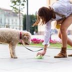 2-2.5L Compostable Dog Poop Bags for Dispenser